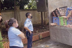 Phát hiện xe tải chở hơn 2 tấn mỡ bò, da bò không rõ nguồn gốc, bốc mùi hôi thối đi tiêu thụ