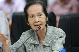 Chuyên gia Phạm Chi Lan: Nên chăng xem người Việt ở nước ngoài là một phần của kinh tế tư nhân Việt Nam?