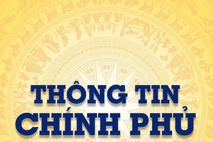Thông tin Chính phủ cảnh báo toàn dân