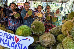 Thị trường sầu riêng khốc liệt, 2 đối thủ của Việt Nam tăng tốc tung ra 'vũ khí' mới