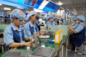 Chuyên gia: Tỷ lệ doanh nghiệp tư nhân ‘không có lần sinh nhật thứ hai’ lên tới 50%