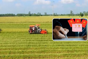 Từ nay, đất lấn chiếm vi phạm vẫn được xem xét cấp sổ đỏ