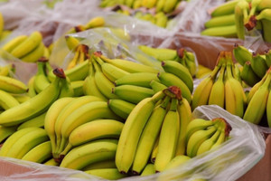 Loại quả trồng khắp Việt Nam bứt phá, xuất khẩu vượt xoài và thanh long, nuôi tham vọng 4 tỷ USD