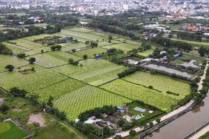 Công viên 25 năm không một bóng người lớn thứ 2 TP. HCM, quy mô 150ha gấp 9 lần Thảo Cầm Viên đón tin vui