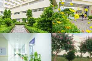 Mục sở thị bệnh viện tỉnh xanh sạch đẹp nhất Việt Nam vừa được Bộ Y tế công nhận