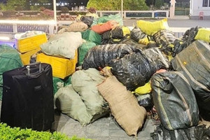 Khoảng 7 tấn lạp xưởng cùng 2,6 tấn trứng gà non và 750 kg nầm lợn ngụy trang kỹ nhưng vẫn bị phát hiện