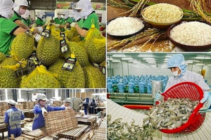 Nông sản Việt thu gần 40 tỷ USD từ xuất khẩu trong 7 tháng