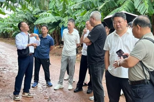 Gia Lai bắt tay một tỉnh Trung Quốc để 'mở đại lộ' đưa nông sản Việt sang thị trường tỷ dân