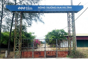 Khu nông nghiệp công nghệ cao 300 tỷ của FLC hóa bãi đất hoang sau 7 năm
