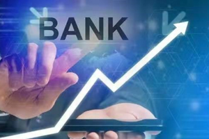10 ngân hàng vốn hóa vượt 100.000 tỷ, một nhà băng tăng 70% vọt lên top 2