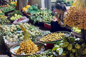 Loại trái cây ‘nhà giàu’ có giá đắt đỏ, nay hoá mặt hàng bình dân giá chỉ vài chục nghìn đồng