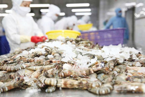 Mỹ ra thông báo thu hồi khẩn cấp mặt hàng tôm đông lạnh nhập khẩu do lo sợ nguy cơ nhiễm phóng xạ