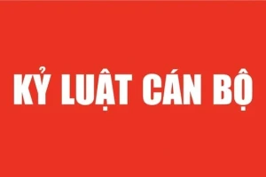 Bộ Chính trị, Ban Bí thư xem xét, thi hành kỷ luật tổ chức đảng, đảng viên vi phạm