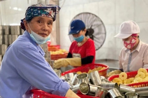 Cuối năm, lao động Việt U60 cũng được săn đón, đâu là những ngành 'mở rộng cửa'?