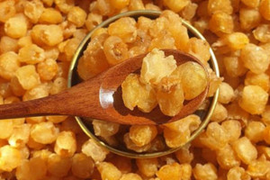 Trung Quốc ồ ạt thu mua một loại quả 'tiến vua' của Việt Nam, nước ta dự kiến có sản lượng hơn 50.000 tấn