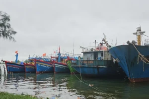 Huế yêu cầu kêu gọi tàu thuyền vào bờ tránh bão số 5 trước 19h tối nay