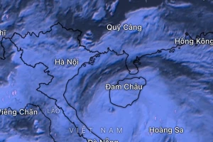 Bão giật cấp 17 khi áp sát bờ, đề nghị cấm đường ở các vùng ảnh hưởng trực tiếp ngày 25/8