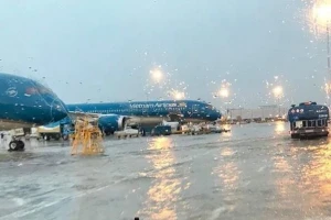 Hỏa tốc kích hoạt phương án điều hành bay ứng phó bão số 5