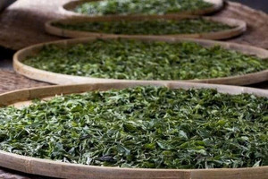 Loại tài sản từng sánh ngang BĐS nay mất giá hơn 80%, bong bóng ‘nổ tung’ giữa khủng hoảng ở nền kinh tế thứ 2 thế giới