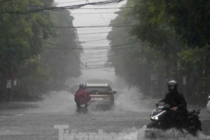 Đường tỉnh và quốc lộ qua Thanh Hóa đến Hà Tĩnh bị gián đoạn