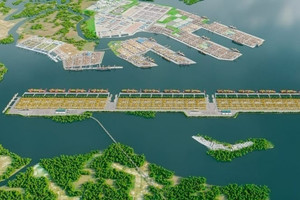 Hãng tàu biển lớn thứ ba thế giới muốn hợp tác phát triển siêu cảng tại TP. HCM