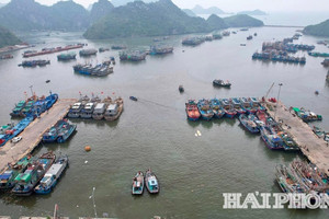 Khuyến khích giảm 50% giá phòng, hỗ trợ du khách bị kẹt lại do ảnh hưởng của bão số 5