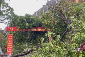 Bão số 5 quần thảo suốt đêm, Nghệ An, Hà Tĩnh thiệt hại lớn, hàng trăm ngôi nhà bị sập, cây đổ ngổn ngang
