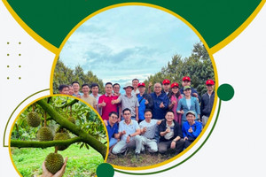 Hơn 9% vốn HAGL vừa được sang tay, thế hệ F2 bước lên thương trường