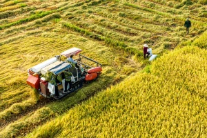 '80 năm qua, nông dân là người vẽ nên con đường đổi mới của đất nước'