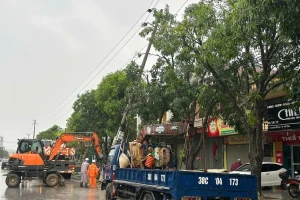Xử lý sự cố mất điện ở Bắc Trung Bộ xong trước ngày 2/9