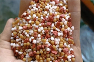 Sản phẩm Việt Nam có nhu cầu hơn 10 triệu tấn/năm, Trung - Nga - Lào cùng 'bơm' hàng ồ ạt