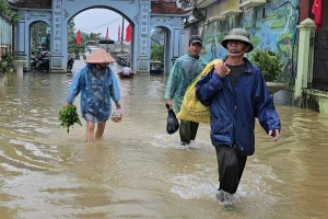 Mưa bão khiến 7.085 ha lúa và rau màu bị ngập, hàng nghìn hộ dân bị ảnh hưởng