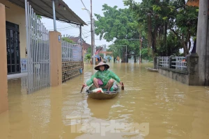 Hà Nội: Lũ trên sông Tích, sông Bùi vượt báo động 3