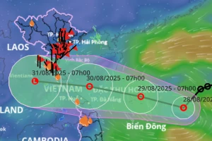 Áp thấp nhiệt đới hướng thẳng miền Trung