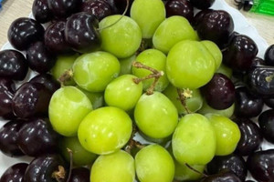 Vụ việc mua hoa quả ở hàng quen không hỏi giá, lúc thanh toán nhận hóa đơn tới 8,5 triệu đồng gây xôn xao mạng xã hội