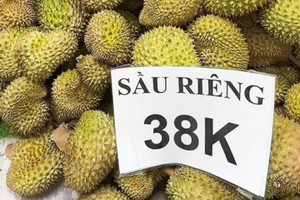 Giá sầu riêng rẻ hơn cốc trà sữa, người dân Hà Nội ăn 'vua trái cây' thả ga