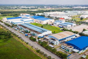 Doanh nghiệp Hà Lan ngỏ ý đầu tư phát triển khu kinh tế, khu công nghiệp tại tỉnh nhỏ nhất Việt Nam