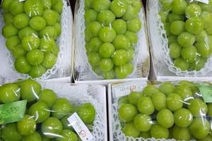Loại trái cây 'quý tộc' tràn ngập siêu thị đổ đống và chợ online, giá rẻ không tưởng vì đâu?