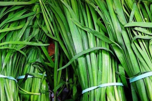 Loại lá tốt cho phái mạnh được bán bạt ngàn ngoài chợ giá chỉ 20.000 đồng/1kg, được đánh cao hơn hàu