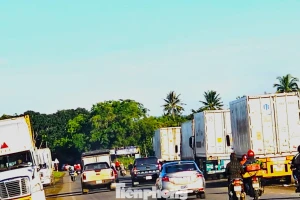 Xe container rồng rắn đi thu mua sầu riêng