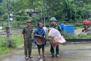 Quảng Trị dự kiến sơ tán hơn 50.000 nhân khẩu để ứng phó với bão số 6