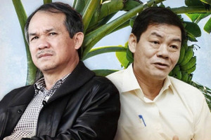 Công ty nông nghiệp của ông Trần Bá Dương và bầu Đức lỗ lũy kế 9.643 tỷ đồng, kiểm toán nghi ngờ khả năng hoạt động liên tục