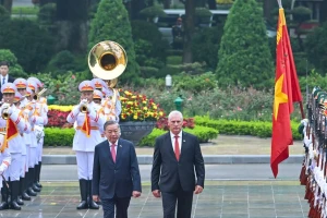 Tổng Bí thư Tô Lâm chủ trì lễ đón Bí thư thứ nhất, Chủ tịch nước Cuba