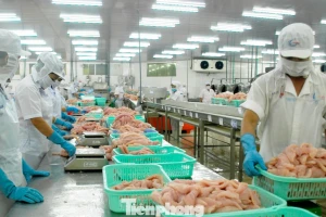 Doanh nghiệp nêu loạt kiến nghị quan trọng trước áp lực thuế Mỹ