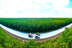 Chốt hạn về đích 2 tuyến đường kết nối trọng điểm phía Nam