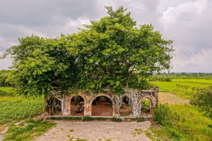 Đình cổ hơn trăm tuổi ‘độc nhất vô nhị’ tại Việt Nam: Được ôm trọn bằng 2 cây bồ đề khổng lồ