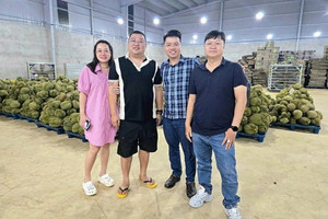 Buôn sầu riêng như HAGL, nhưng cổ phiếu một doanh nghiệp khác chỉ bằng nửa giá sổ sách