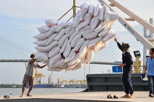 Giá gạo Việt Nam lập kỷ lục mới khi bạn hàng lớn nhất có động thái bất ngờ