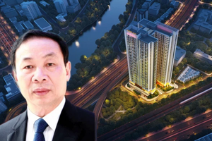 Gia đình Chủ tịch Đỗ Hữu Hạ đăng ký gom chục triệu cổ phiếu, TCH bùng nổ tăng trần