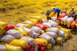 Tổng kim ngạch xuất khẩu nông lâm ngư nghiệp 8 tháng đầu năm đạt hơn 45 tỷ USD